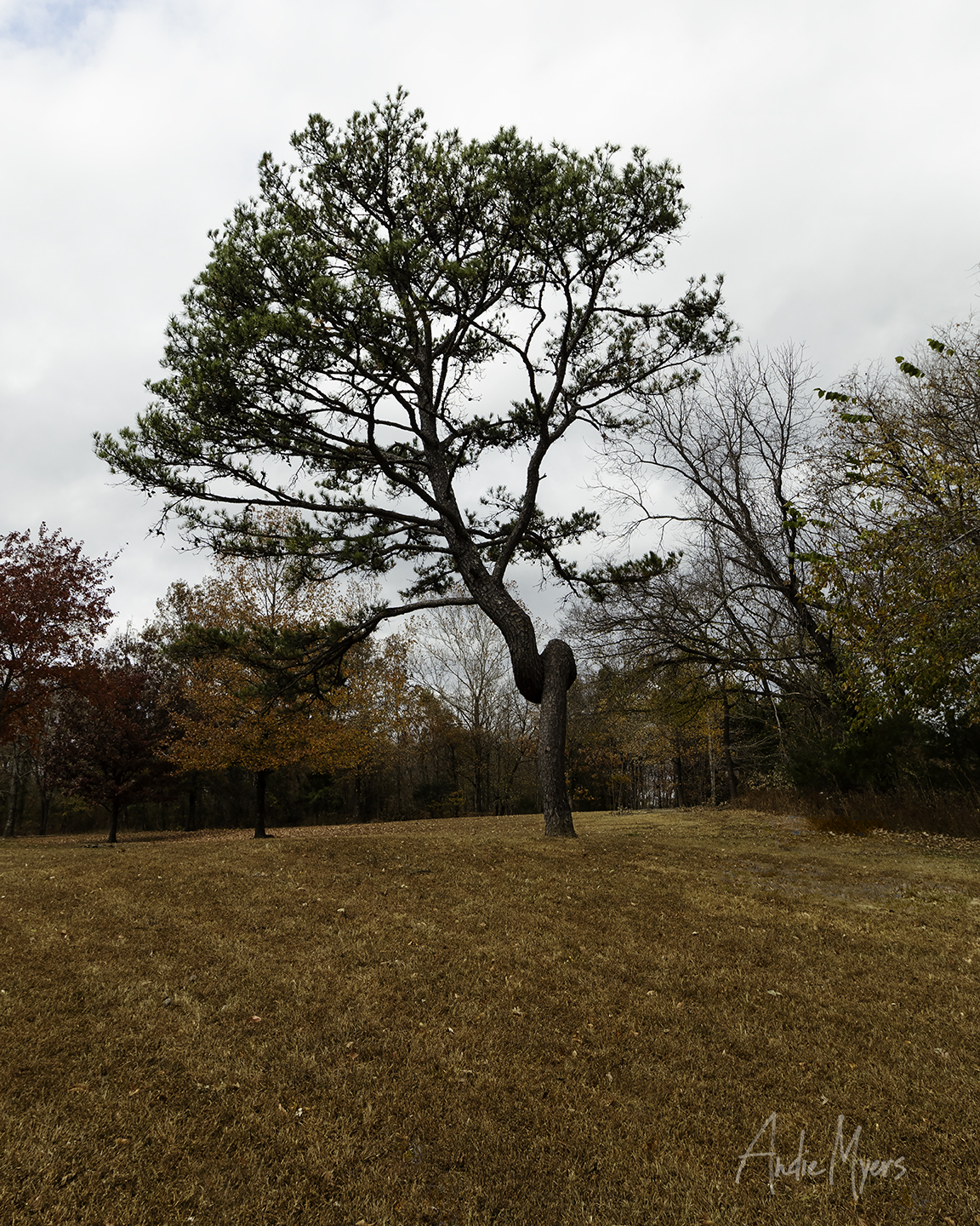 Fredericktown Missouri